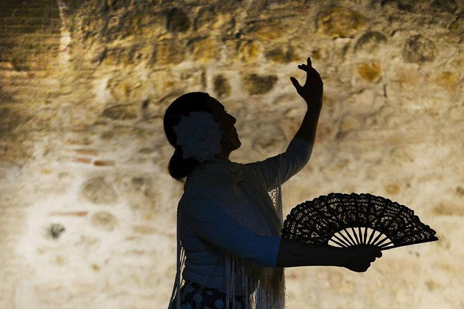 flamenco-tapas-and-wine-tour-best-of-malaga-in-one-evening-2