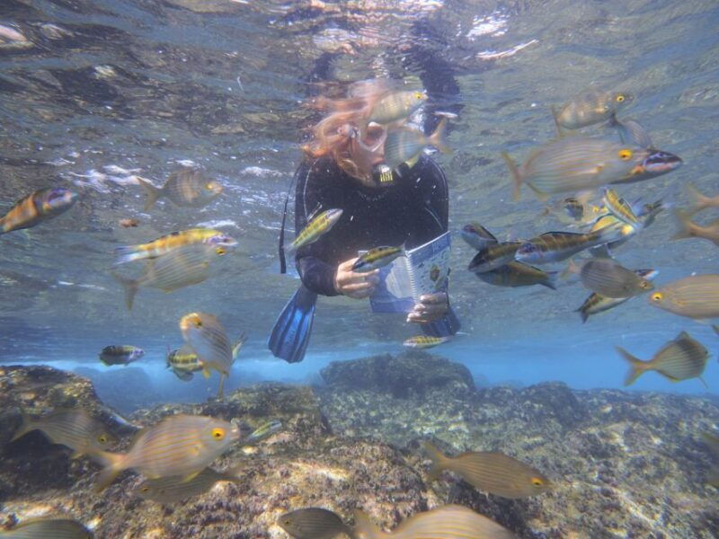 flamingo-beach-guided-sup-and-snorkeling-experience