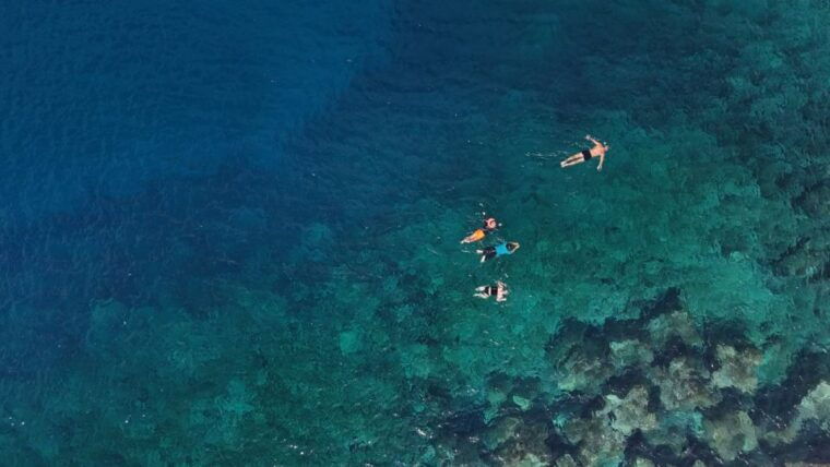 flamingo-beach-guided-sup-and-snorkeling-experience