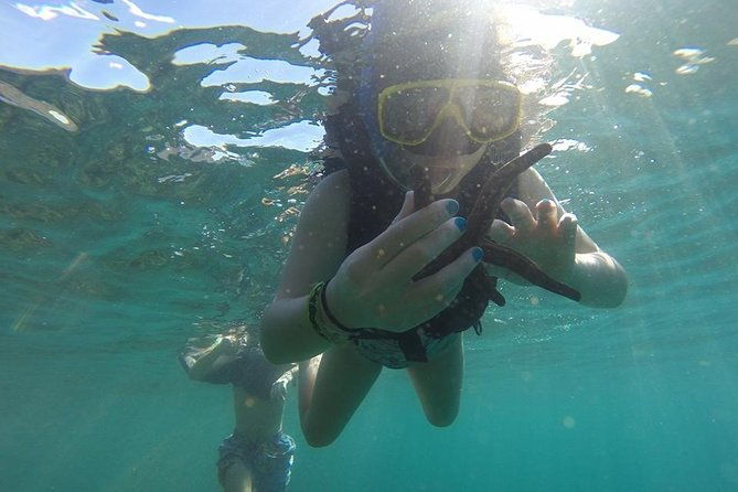flamingo-beach-snorkeling-boat-tour