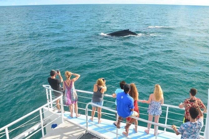 flamingo-family-fun-catamaran-snorkelcomfortable-shaded-seating