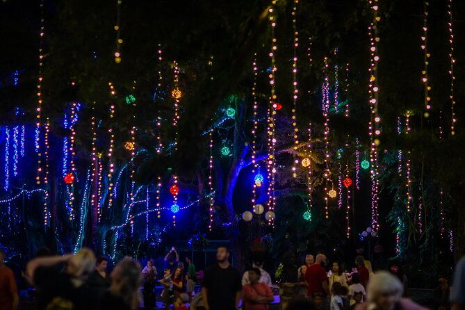 flamingo-gardens-garden-of-lights