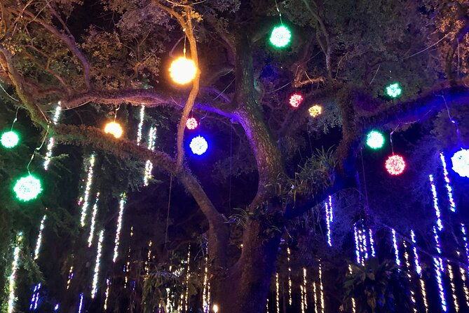 flamingo-gardens-garden-of-lights