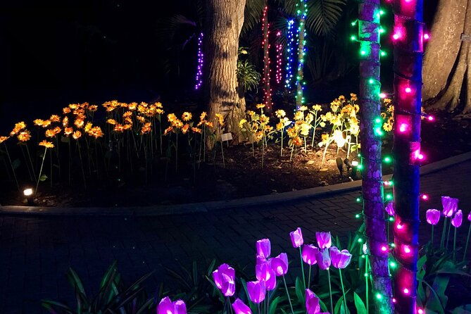 flamingo-gardens-garden-of-lights
