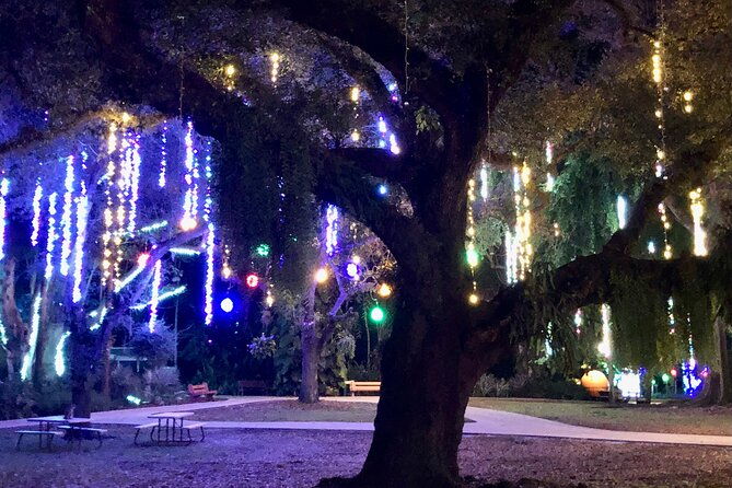 flamingo-gardens-garden-of-lights
