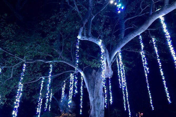 flamingo-gardens-garden-of-lights