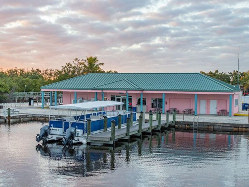 flamingo-marina-backcountry-boat-tour-of-the-everglades