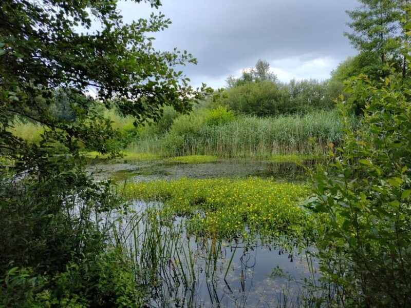 flanders-day-tour-with-turnhout-hoogstraten-kasterlee