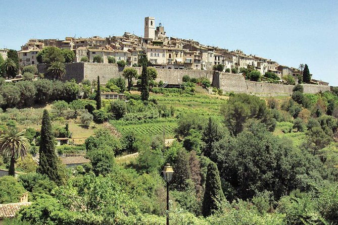 flavors-and-tastes-of-provence-private-and-guided-tour