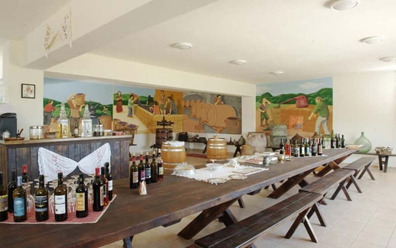 Flavors of Crete from Chania: Wine & Olive Oil Tasting Tour - The Sum Up