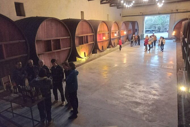flavors-of-mendoza
