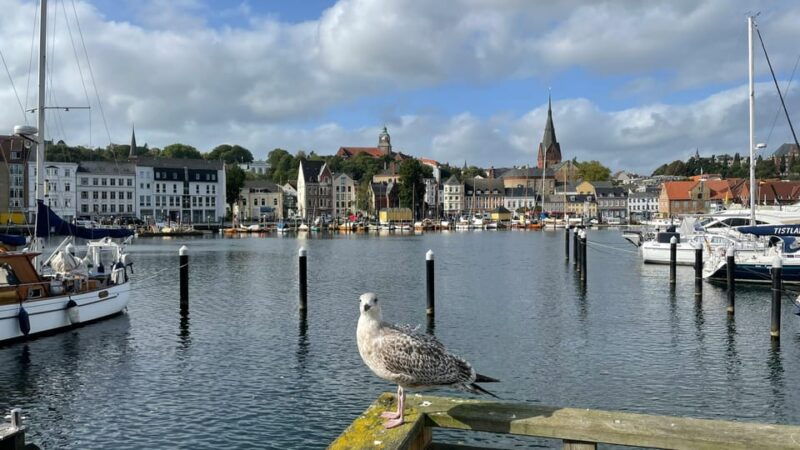 flensburg-running-tour-with-insider-tip-guarantee