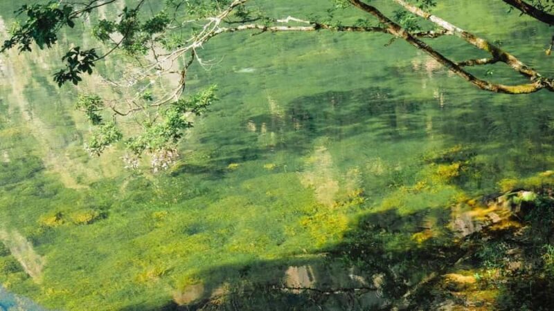 Flexible Jiuzhaigou Day Tour Options: Shared or Private - Key Points