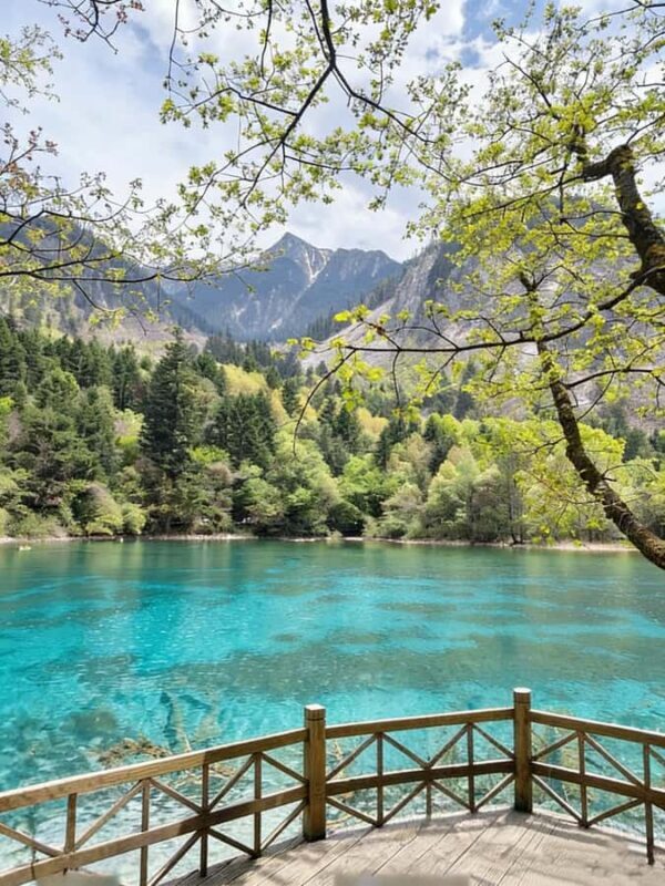 Flexible Jiuzhaigou Day Tour Options: Shared or Private - Jiuzhaigou: An Introduction to the Experience