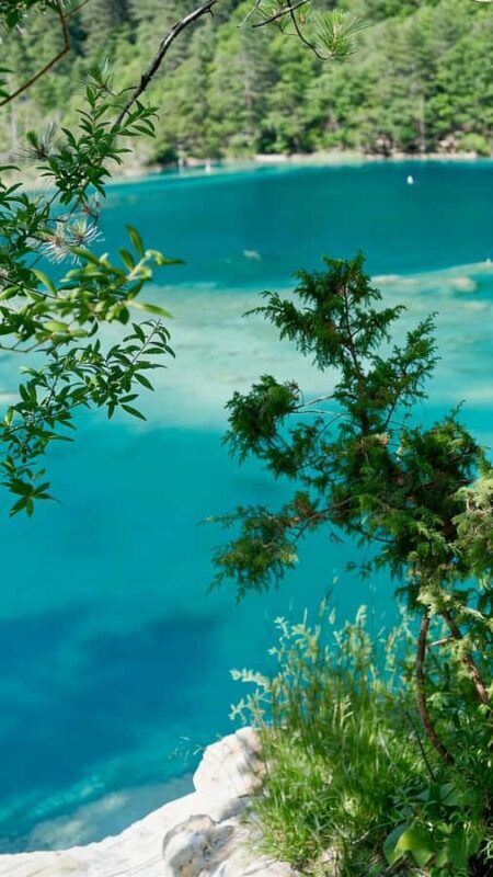 Flexible Jiuzhaigou Day Tour Options: Shared or Private - Exclusive Private Tour: All-Inclusive, Personalised Experience