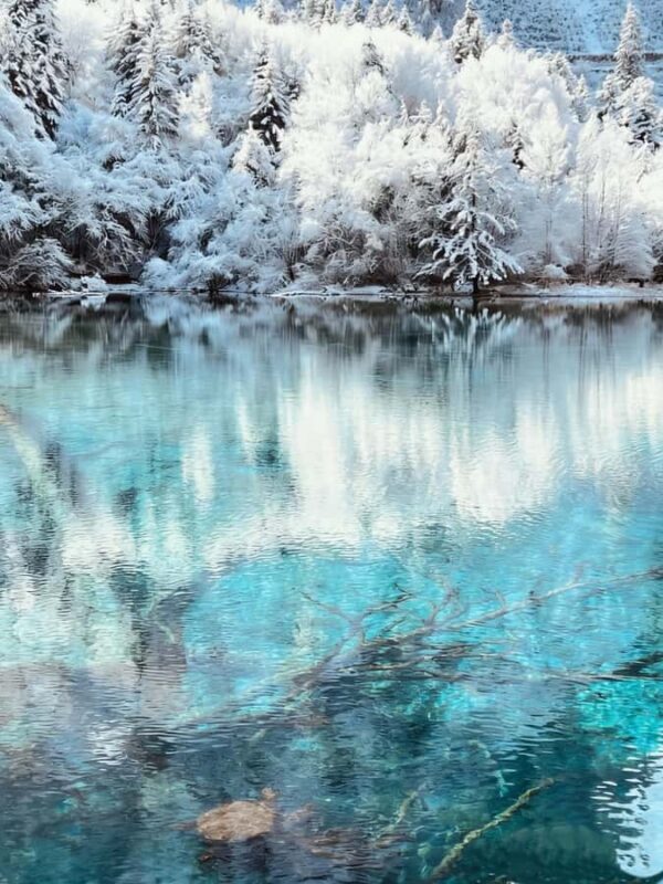 Flexible Jiuzhaigou Day Tour Options: Shared or Private - Who Should Consider These Tours?