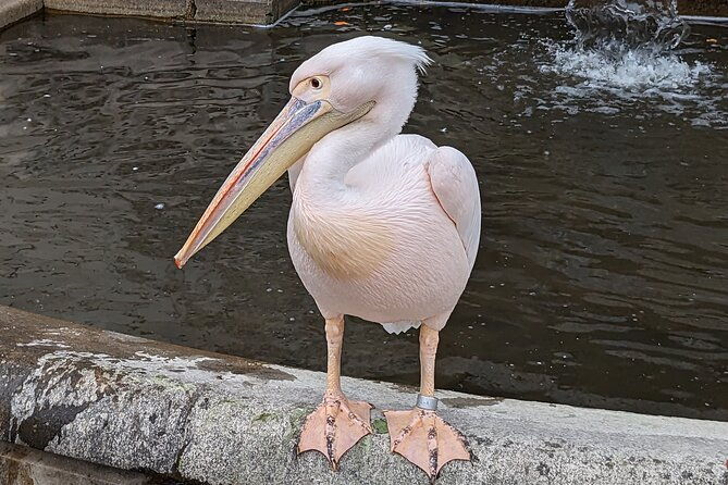 flexible-private-tour-london-westminster-top-sites