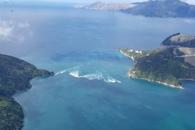 Flight Experience our Water and Wilderness Scenic Tour - Key Points