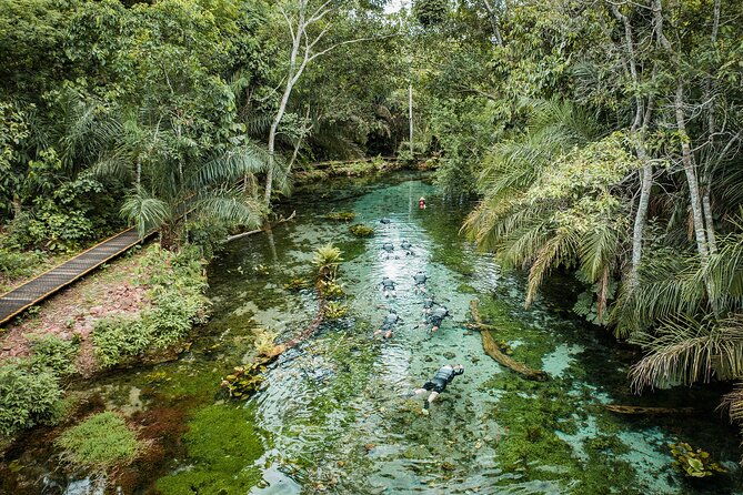 floating-in-the-nascente-azul