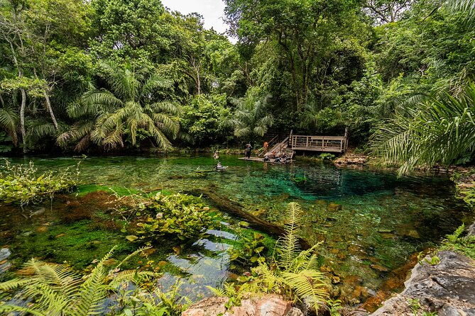 floating-in-the-nascente-azul