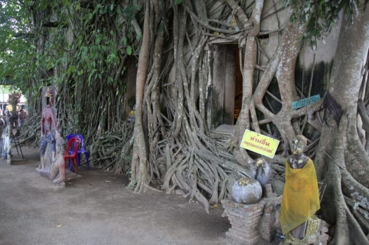 floating-market-full-day-bicycle-tour-from-bangkok