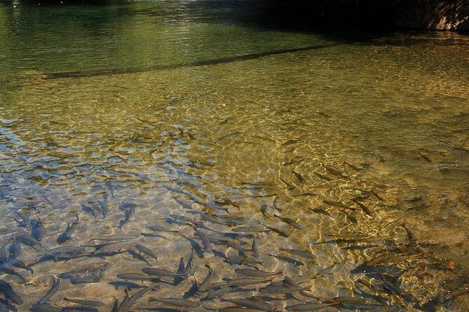 floating-on-the-river-formiga-cardosa-tour