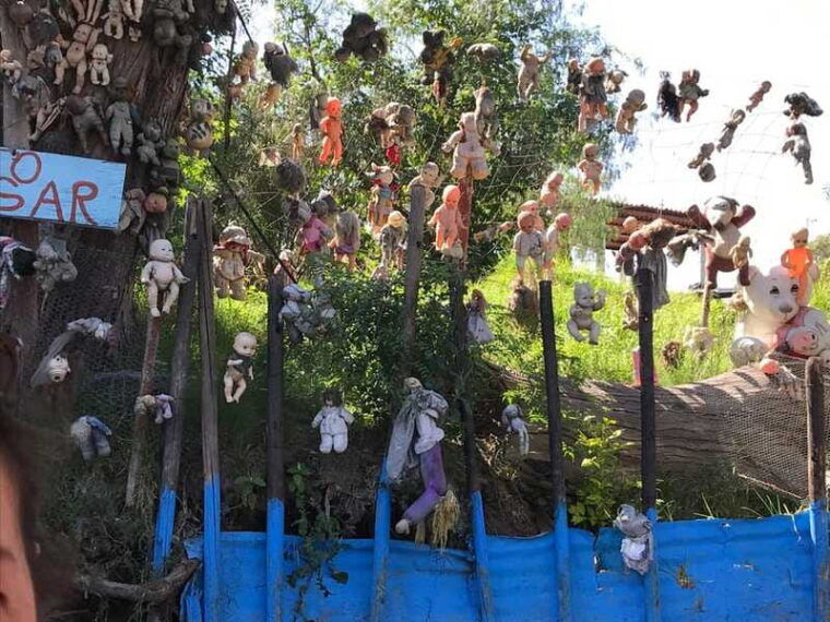floating-party-in-xochimilco-canals-tequila-and-tradition