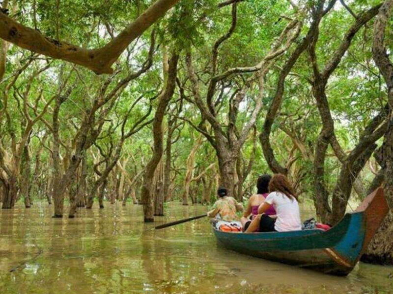floating-village-mangroves-forest-tonle-sap-lake-boat-tour