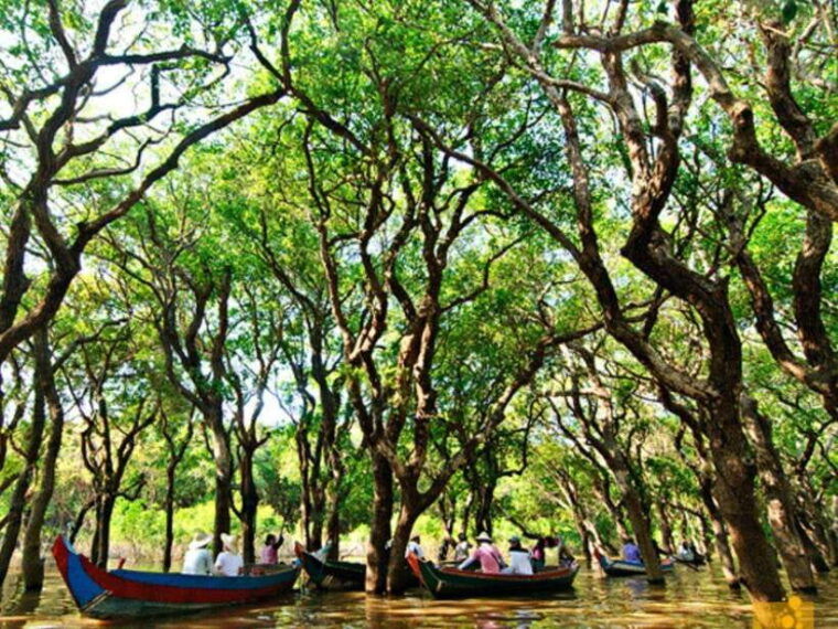 floating-village-mangroves-forest-tonle-sap-lake-boat-tour
