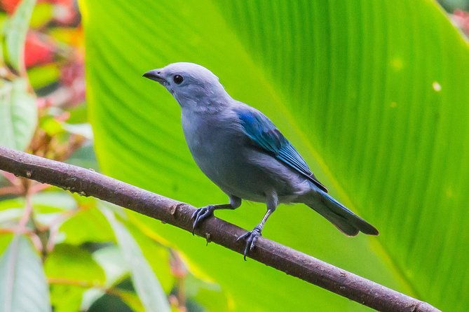 flora-fauna-garden-at-danaus-ecocenter