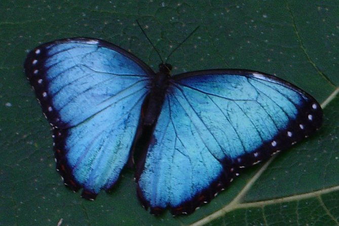flora-fauna-garden-at-danaus-ecocenter