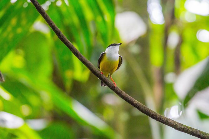 flora-fauna-garden-at-danaus-ecocenter