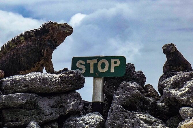 floreana-island-full-day-tour-including-hiking-and-snorkeling