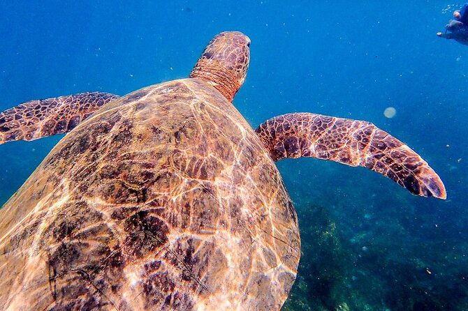 floreana-island-full-day-tour-including-hiking-and-snorkeling