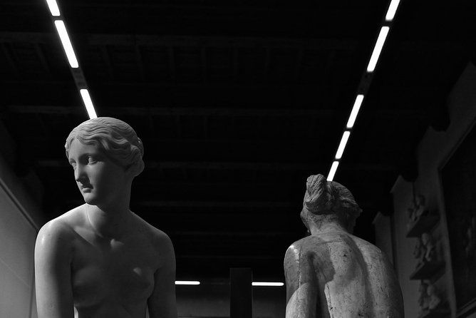 florence-1-hour-accademia-gallery-guided-experience-with-entrance-tickets