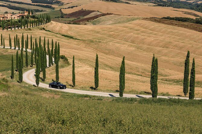 Florence Airport Private Departure Transfer - Final Thoughts