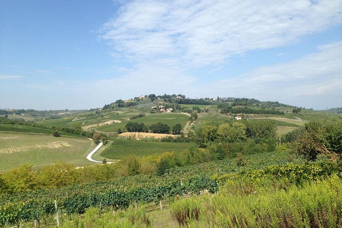 florence-and-wine-tasting-private-tour-from-livorno