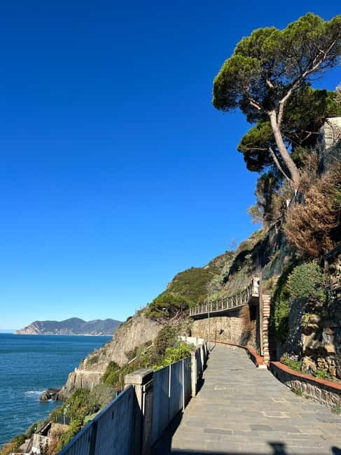 Florence/Bologna: Cinque Terre&Pisa Private Tour w/Transfer - Key Points  