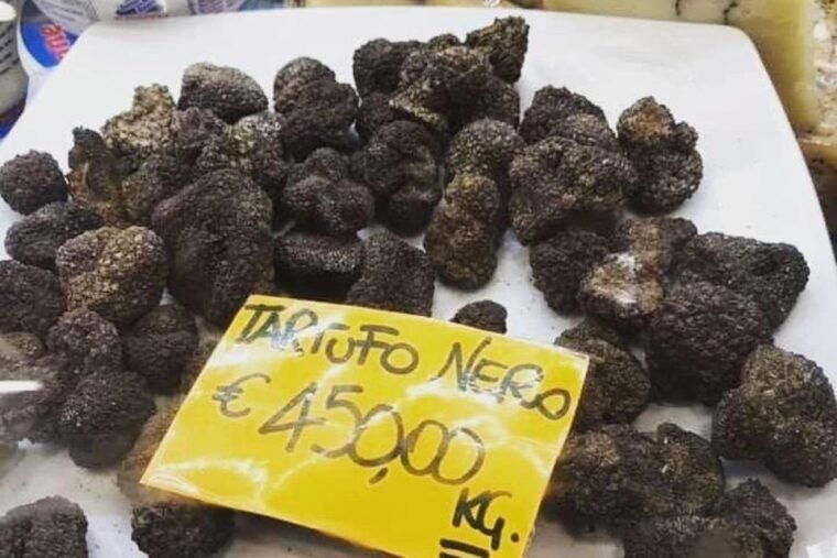 florence-central-market-food-tour-private-tour-2