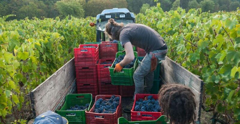 florence-chianti-classico-wine-region-private-tasting-trip