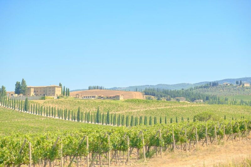 florence-chianti-e-bike-tour-with-lunch-two-wine-tastings