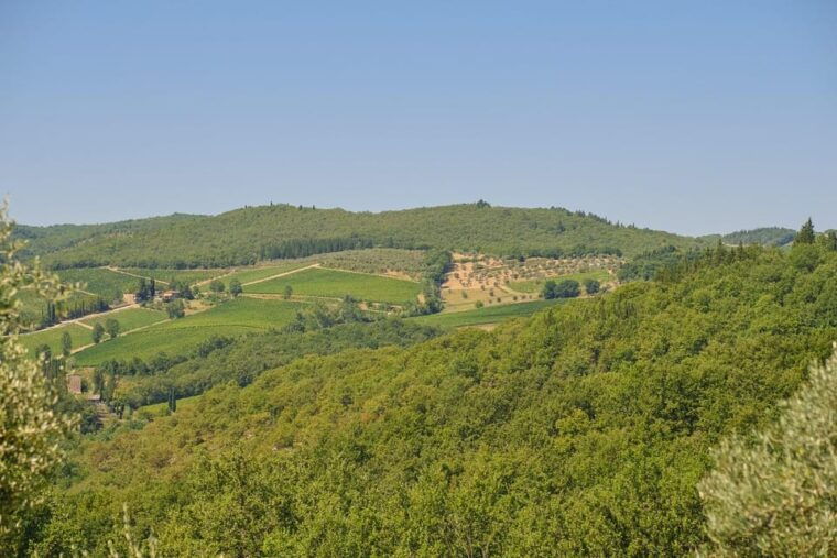 florence-chianti-e-bike-tour-with-lunch-two-wine-tastings