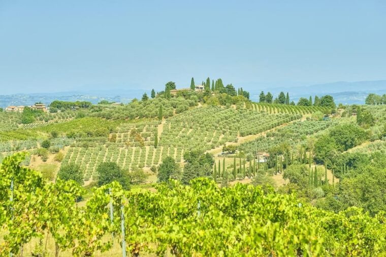florence-chianti-e-bike-tour-with-lunch-two-wine-tastings