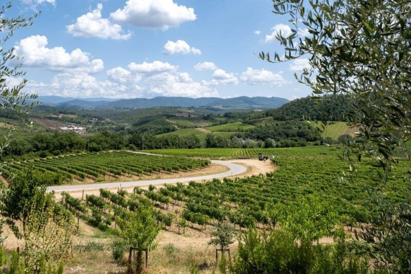 florence-chianti-e-bike-tour-with-wine-tasting-and-lunch