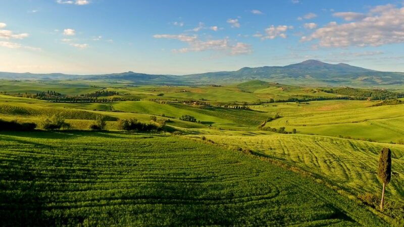 florence-chianti-montalcino-montepulciano-private-tour