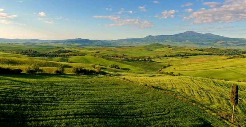florence-chianti-montalcino-montepulciano-private-tour