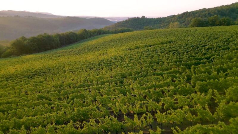 florence-chianti-montalcino-montepulciano-private-tour