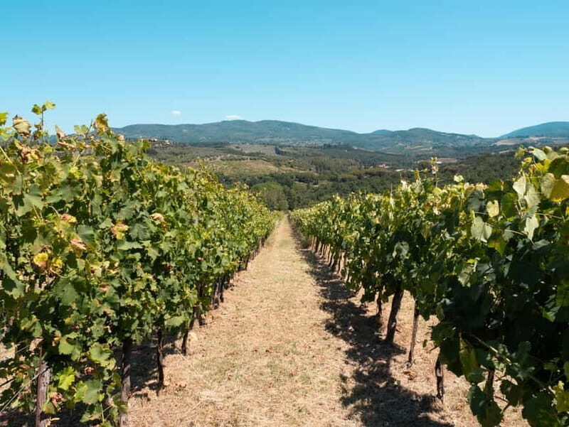 Florence: Chianti Tuscany Winery Tasting & Lunch - Transportation and Convenience