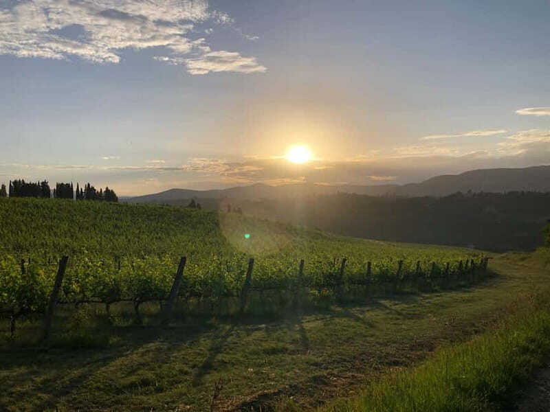 Florence: Chianti Tuscany Winery Tasting & Lunch - Who Will Love This Tour?