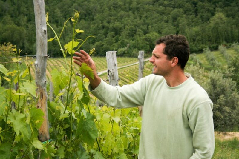 florence-chianti-villages-san-gimignano-and-winery-tour